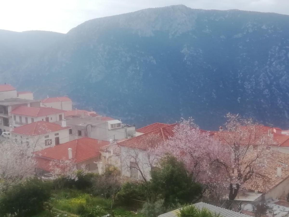 Castri Hotel Delphi Екстер'єр фото